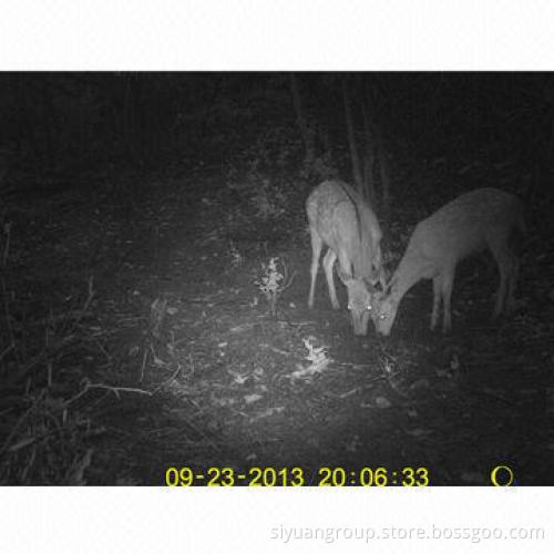 MMS Hunting Camera with Operating Humidity of 5 to 90% RH and 12MP Colored CMOS